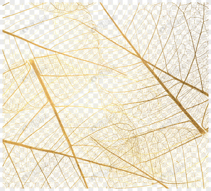 半透明金色叶子元素图片