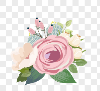 淡粉色手绘花卉植物叶子花朵元素图片