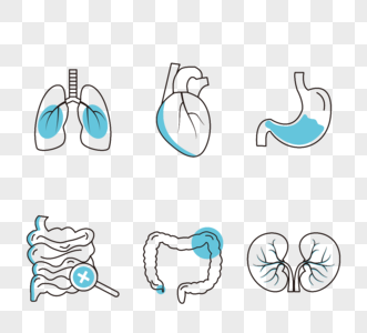 内科医疗线性图标组图高清图片