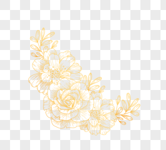 手绘金色线条花卉图片