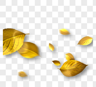 简单手绘秋叶装饰元素图片