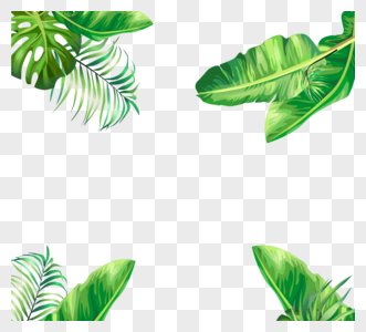 绿色植物叶子边框元素高清图片