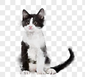 黑白色小猫咪手绘元素图片
