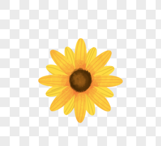 黄色向日葵太阳花花朵图片