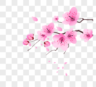 简约粉色系樱花花瓣春天植物元素图片