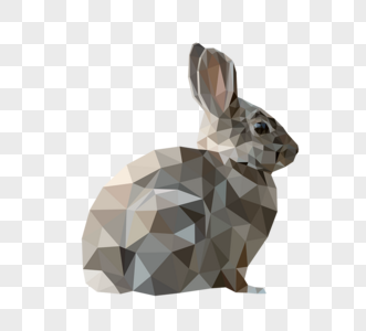 多边形风格灰兔图片