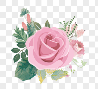粉色淡雅清新植物叶子鲜花花卉手绘元素图片