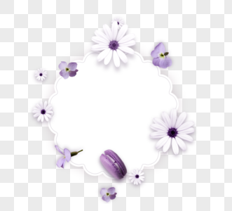 白紫色花小雏菊花卡蝴蝶花朵图情人节花朵边框高清图片