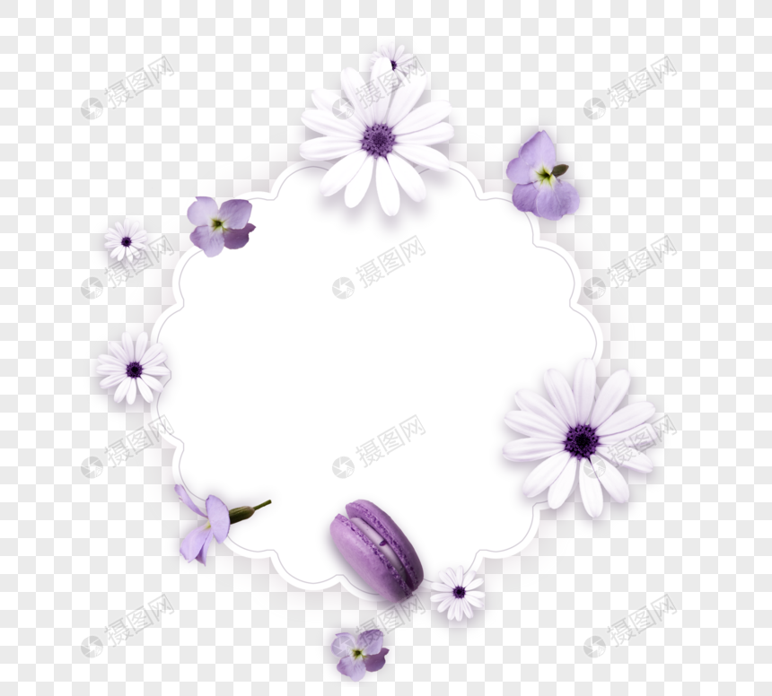 白紫色花小雏菊花卡蝴蝶花朵图情人节花朵边框图片