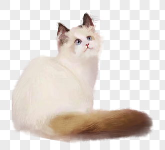 可爱白色猫咪手绘元素图片