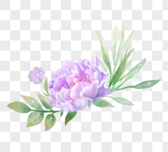紫色花朵绿叶元素图片