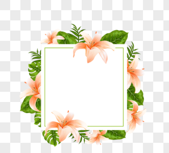 简约热带手绘百合粉色花朵边框图片