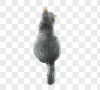 灰色猫猫背影手绘元素图片