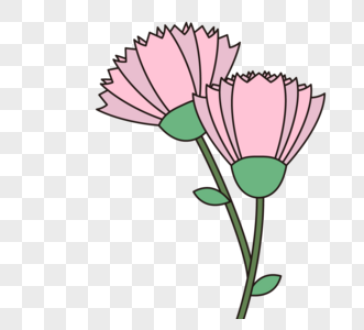 粉色母親節康乃馨花朵图片