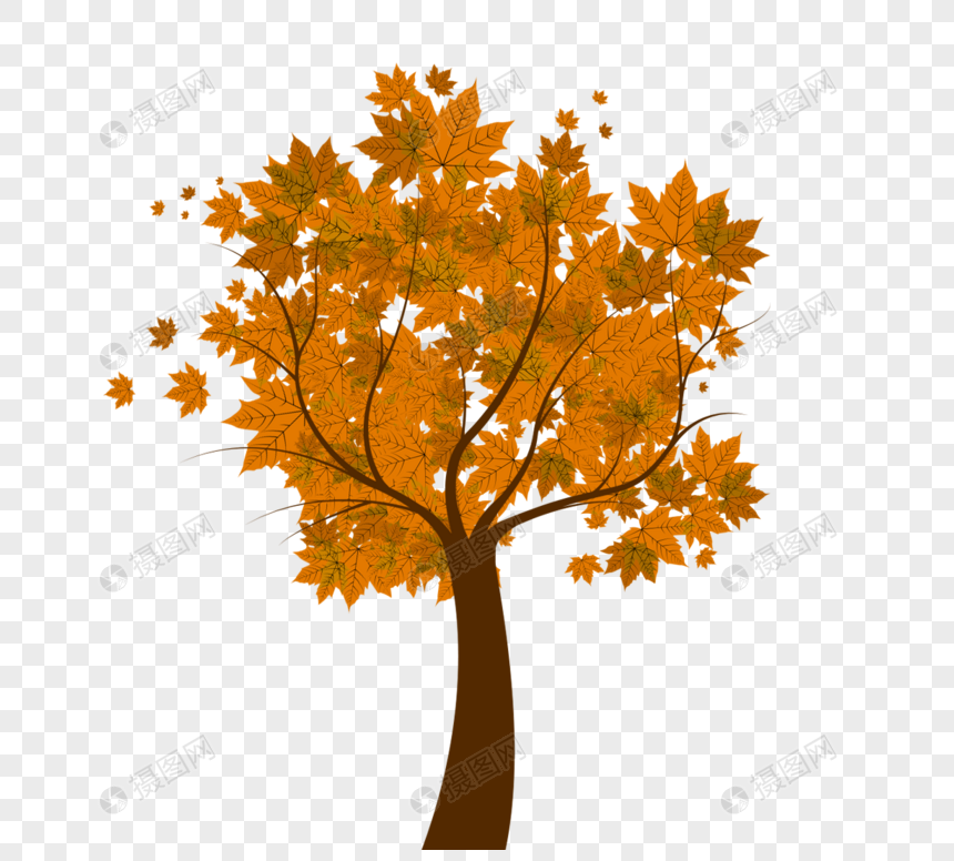秋天树传染媒介图片