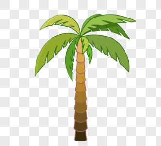 绿色平棕榈树高清图片