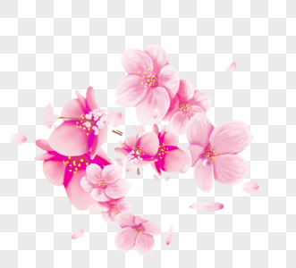 粉红色飘落生动樱花花瓣素材图片