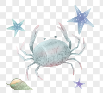 绿色螃蟹海星海螺元素图片