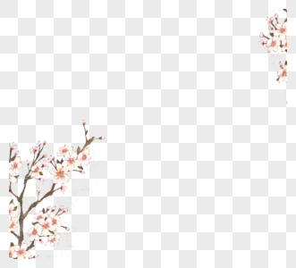白色自然阳光樱花框架图片