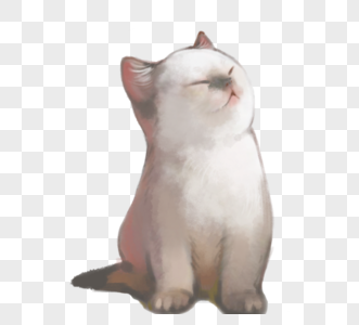 白色胖猫咪可爱软萌元素图片