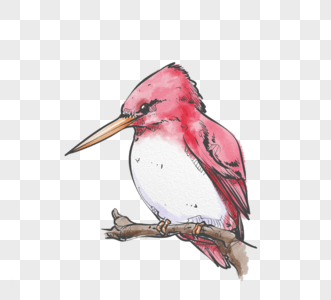 红色小鸟树枝水彩手绘元素图片