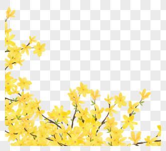 金黄色手绘植物茉莉花图片