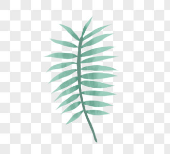 手绘绿色植物棕榈叶图片