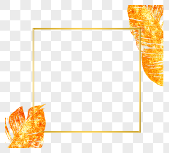 金色热带植物亮光几何边框图片