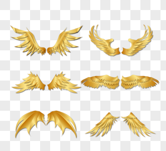 金属质感金色羽毛翅膀图片