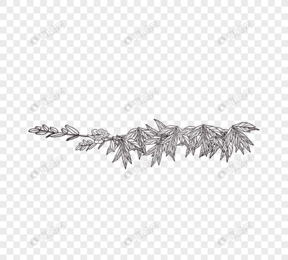 黑白植物树叶线描图片