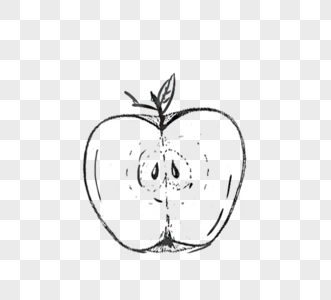 黑白色手绘线描半个苹果图片