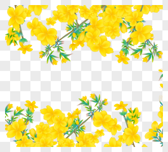 黄色美丽手绘春天茉莉花图片