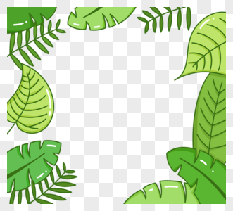热带树叶和绿色植物边框手绘图片
