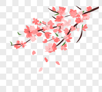 手绘春季粉色樱花枝条樱花花瓣图片