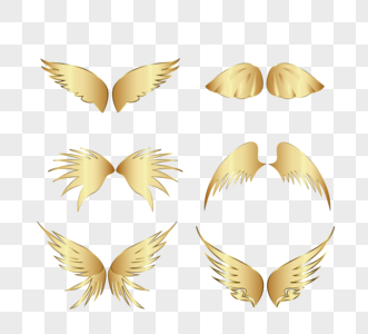 矢量质感金色翅膀图片