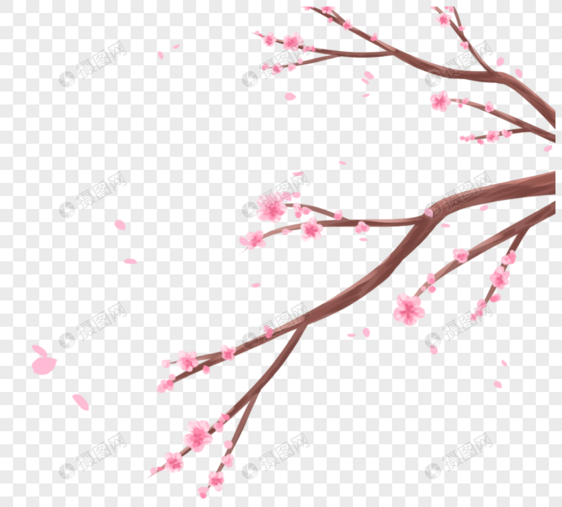 粉红色日式樱花花枝卡通特写清新简约春季植物素材图片