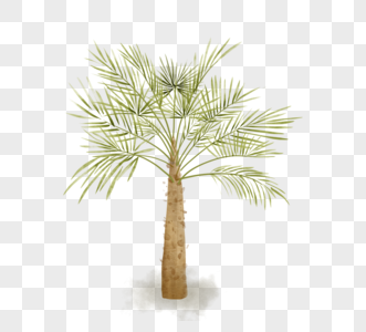 绿色水彩棕榈树元素图片