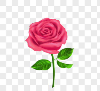 粉色英文手绘玫瑰元素图片
