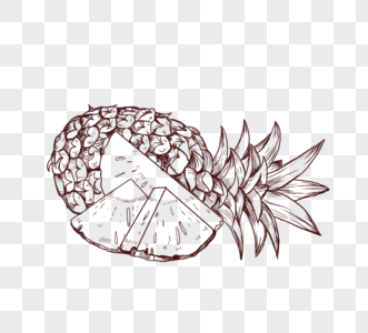 季节性水果菠萝线描图片