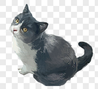 灰色可爱猫咪手绘元素图片