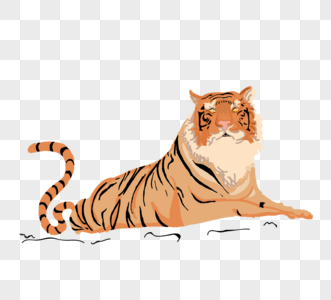 手绘写实老虎动物图片