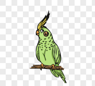 绿色鹦鹉卡通元素图片