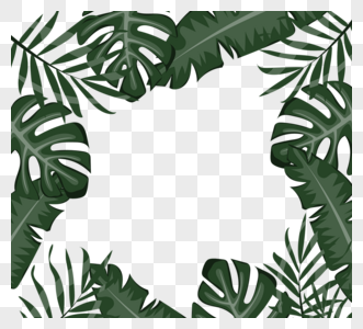 暗绿色热带植物边框图片