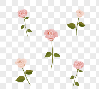 水花粉玫瑰布置图元素图片