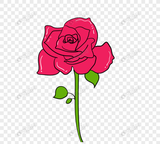 粉色玫瑰花朵图片