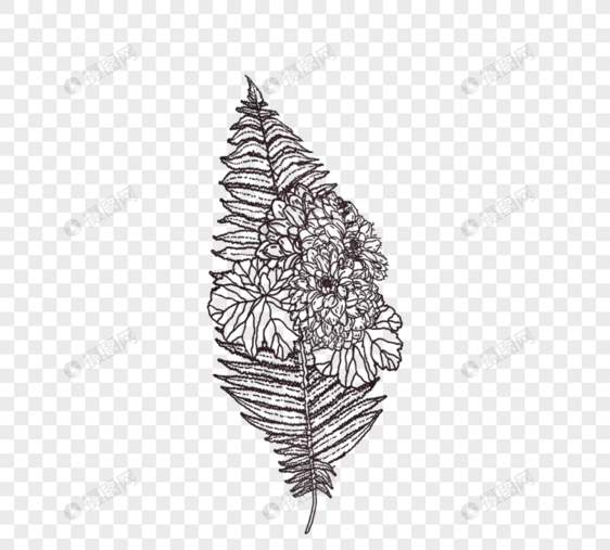 黑白植物线描树叶线稿图片