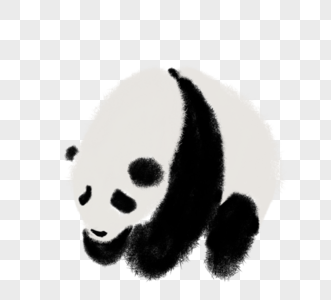 黑白大熊猫手绘水墨插图高清图片