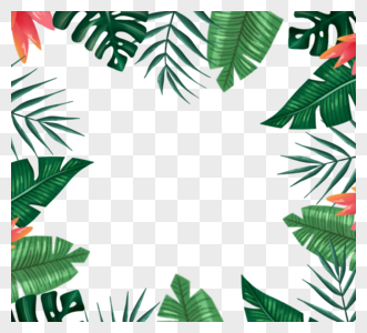手绘热带树叶边框图片