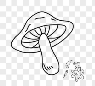 手绘卡通黑白线描蘑菇植物图片