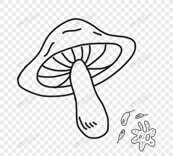 手绘卡通黑白线描蘑菇植物图片